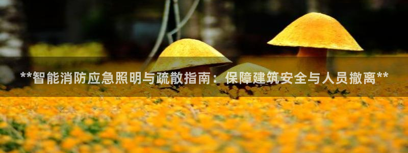 **智能消防应急照明与疏散指南:保障建筑安全与人员撤离**