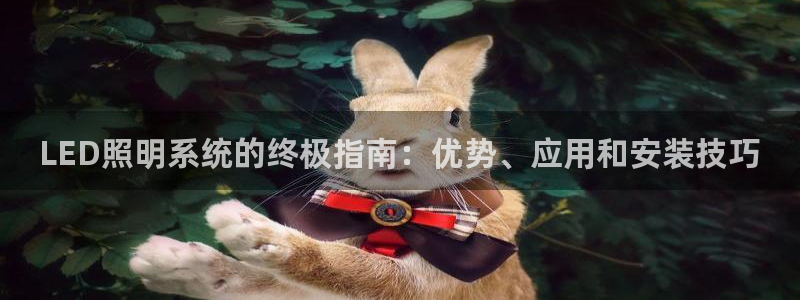 LED照明系统的终极指南:优势、应用和安装技巧