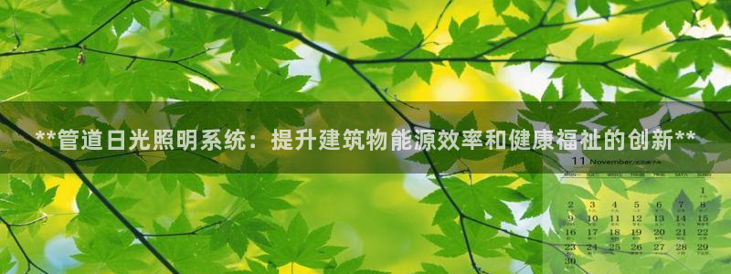 **管道日光照明系统：提升建筑物能源效率和健康福祉的创新**
