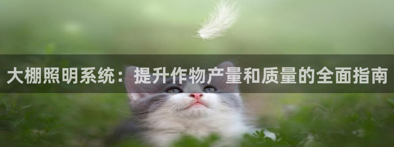 大棚照明系统：提升作物产量和质量的全面指南