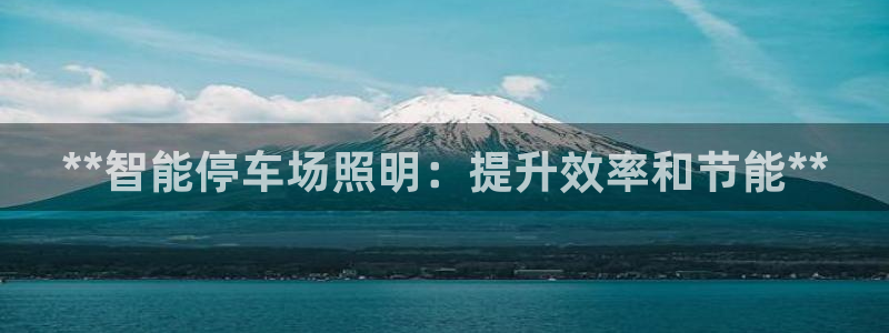 **智能停车场照明：提升效率和节能**