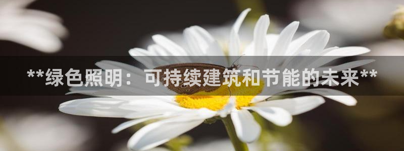 **绿色照明：可持续建筑和节能的未来**