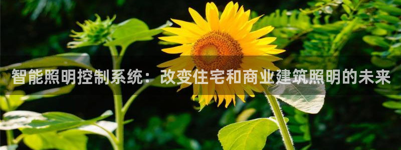 智能照明控制系统：改变住宅和商业建筑照明的未来