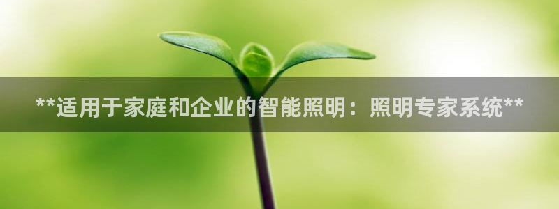 **适用于家庭和企业的智能照明：照明专家系统**