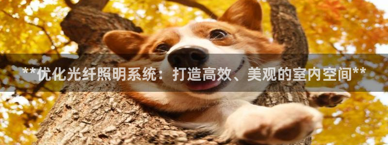**优化光纤照明系统:打造高效、美观的室内空间**