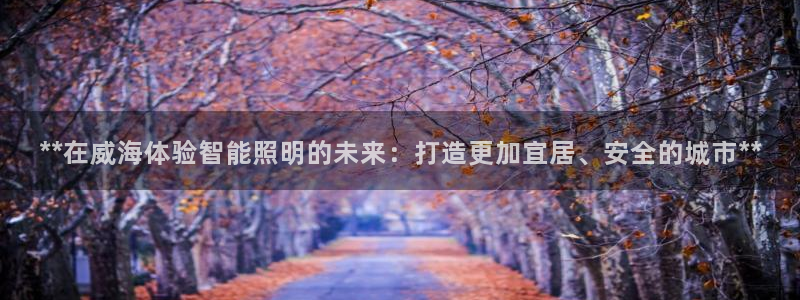 **在威海体验智能照明的未来：打造更加宜居、安全的城市**