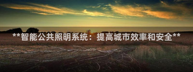 **智能公共照明系统：提高城市效率和安全**