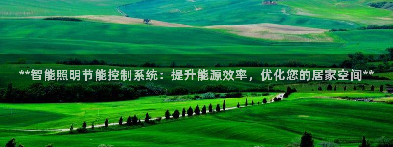 **智能照明节能控制系统：提升能源效率，优化您的居家空间**