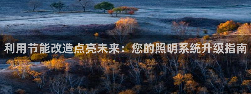 利用节能改造点亮未来:您的照明系统升级指南