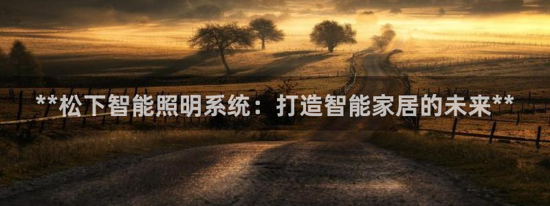 **松下智能照明系统：打造智能家居的未来**