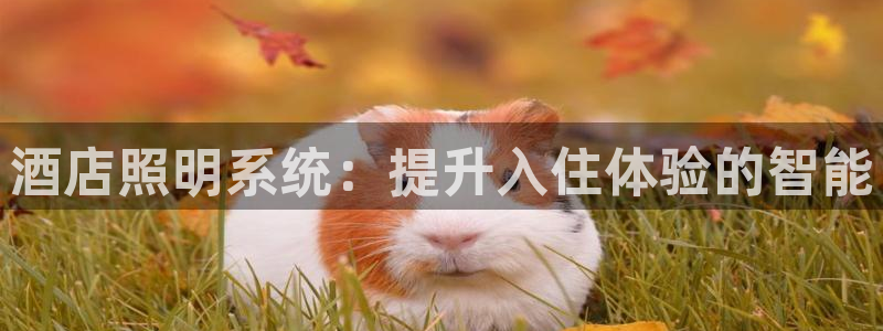 酒店照明系统：提升入住体验的智能