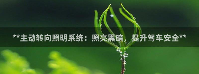 **主动转向照明系统：照亮黑暗，提升驾车安全**