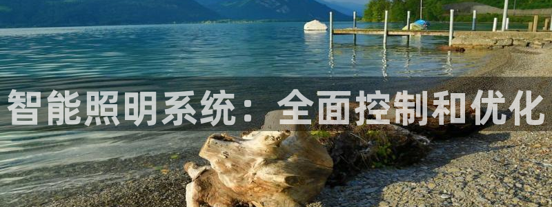 智能照明系统：全面控制和优化