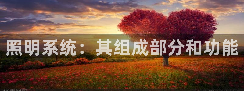 照明系统：其组成部分和功能