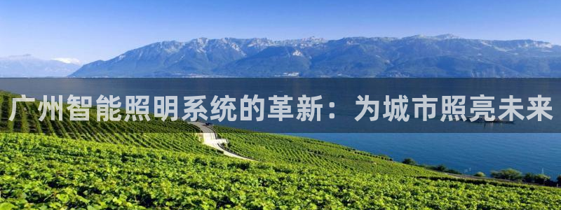 广州智能照明系统的革新：为城市照亮未来
