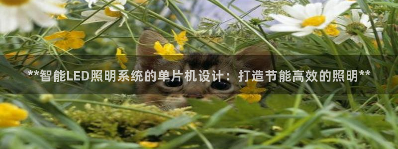 **智能LED照明系统的单片机设计:打造节能高效的照明**