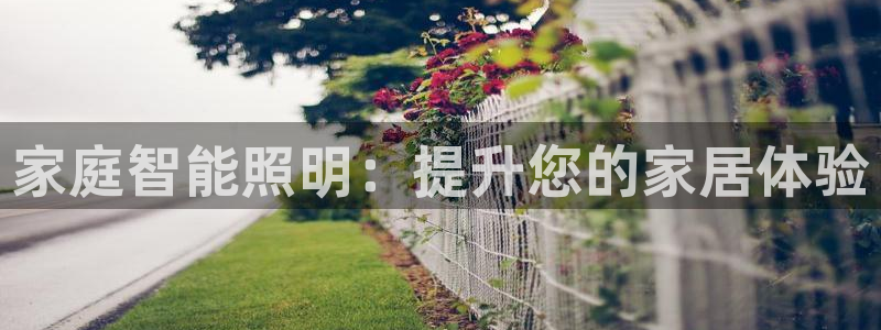 家庭智能照明：提升您的家居体验