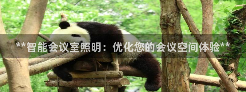 **智能会议室照明：优化您的会议空间体验**