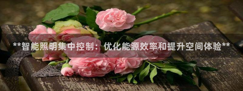 **智能照明集中控制：优化能源效率和提升空间体验**