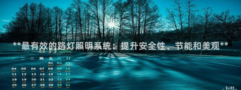 **最有效的路灯照明系统：提升安全性、节能和美观**