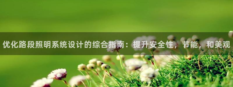 优化路段照明系统设计的综合指南：提升安全性，节能，和美观