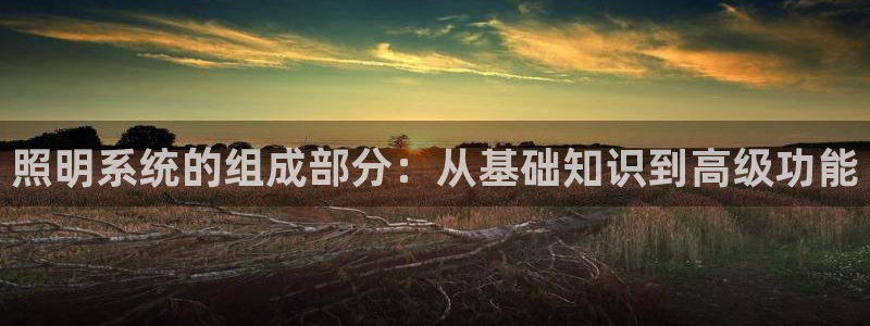 照明系统的组成部分：从基础知识到高级功能