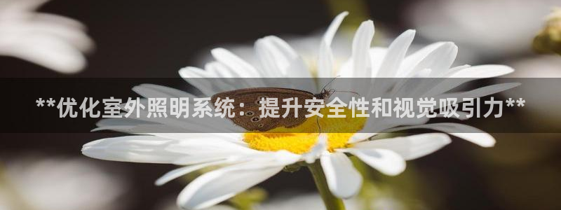 **优化室外照明系统：提升安全性和视觉吸引力**