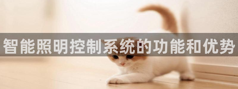 智能照明控制系统的功能和优势