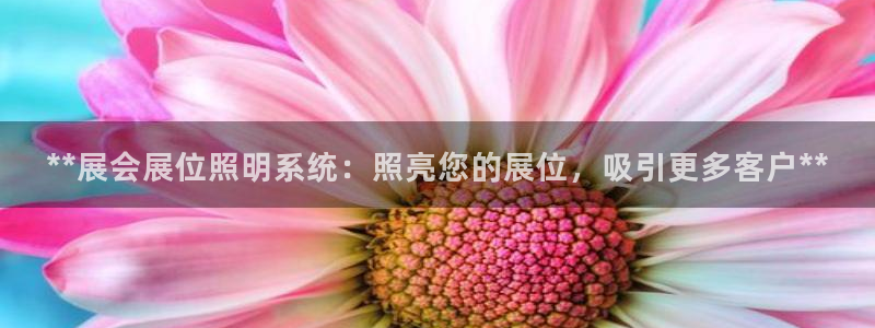 **展会展位照明系统：照亮您的展位，吸引更多客户**