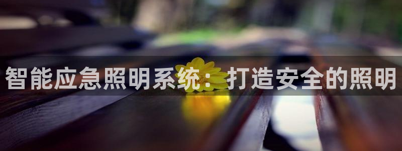 智能应急照明系统：打造安全的照明