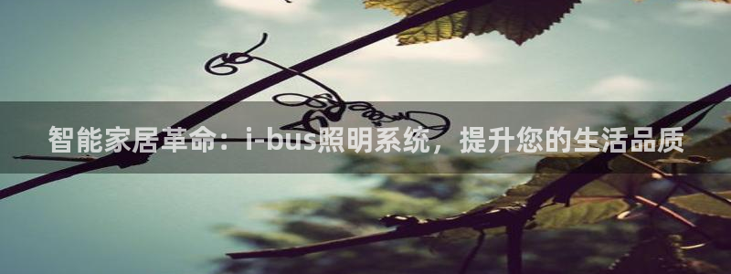 智能家居革命：i-bus照明系统，提升您的生活品质