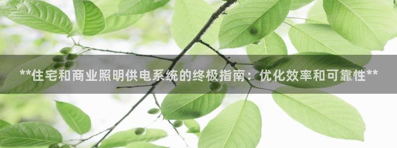 **住宅和商业照明供电系统的终极指南：优化效率和可靠性**