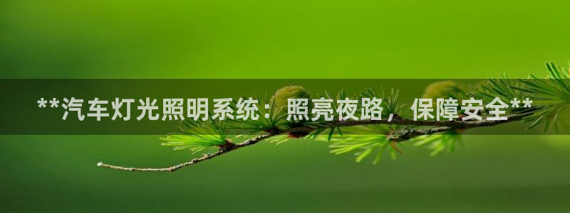 **汽车灯光照明系统：照亮夜路，保障安全**