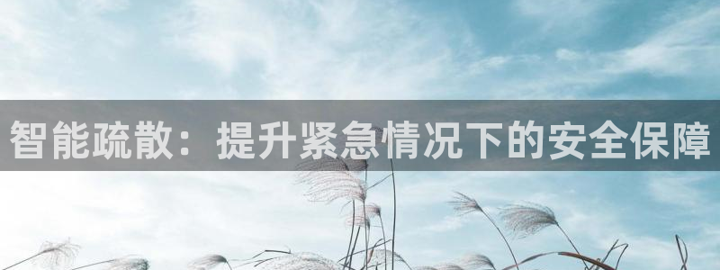 智能疏散：提升紧急情况下的安全保障