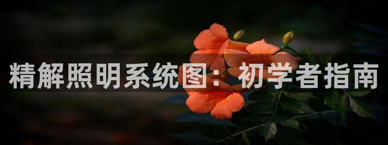 精解照明系统图：初学者指南