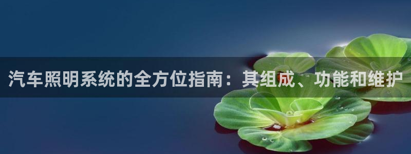 汽车照明系统的全方位指南：其组成、功能和维护