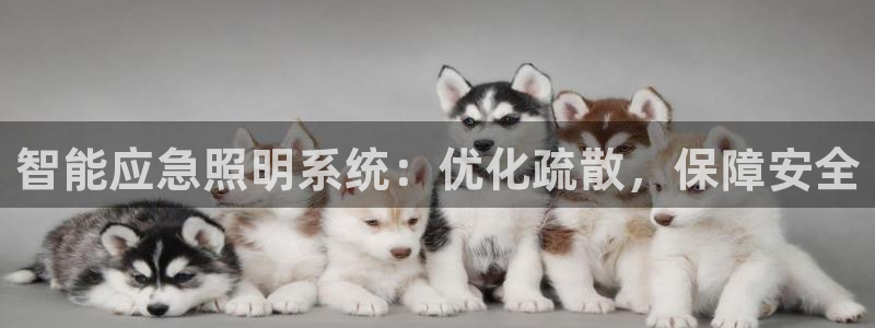 智能应急照明系统：优化疏散，保障安全