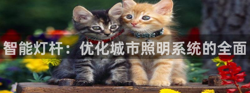 智能灯杆：优化城市照明系统的全面