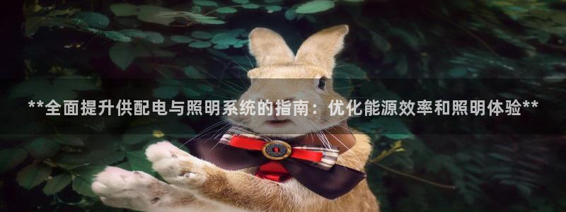 **全面提升供配电与照明系统的指南:优化能源效率和照明体验**