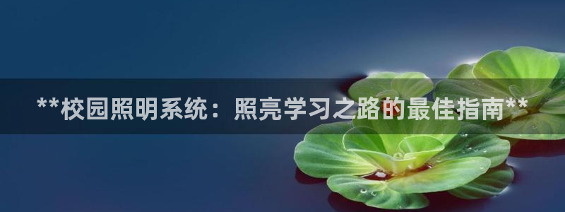 **校园照明系统：照亮学习之路的最佳指南**