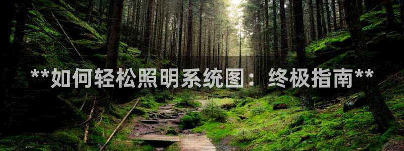 **如何轻松照明系统图：终极指南**
