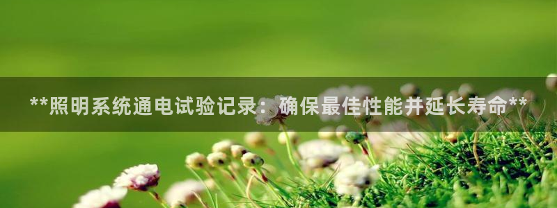**照明系统通电试验记录：确保最佳性能并延长寿命**
