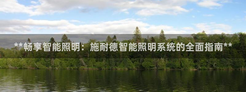 **畅享智能照明：施耐德智能照明系统的全面指南**