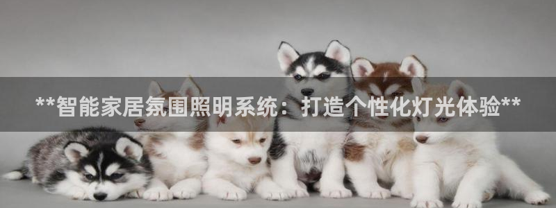 **智能家居氛围照明系统：打造个性化灯光体验**