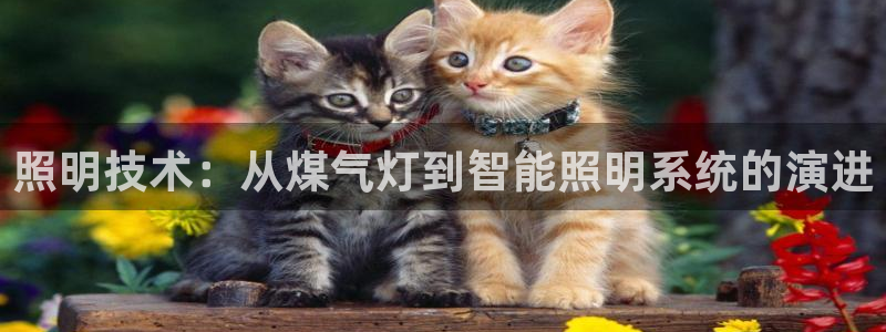 照明技术：从煤气灯到智能照明系统的演进