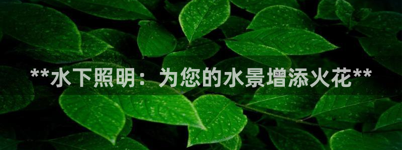 **水下照明：为您的水景增添火花**