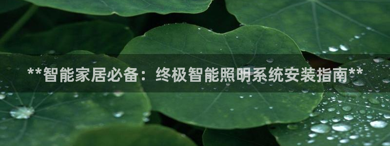 **智能家居必备：终极智能照明系统安装指南**