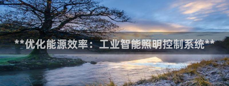 **优化能源效率:工业智能照明控制系统**
