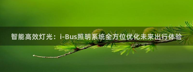 智能高效灯光:i-Bus照明系统全方位优化未来出行体验