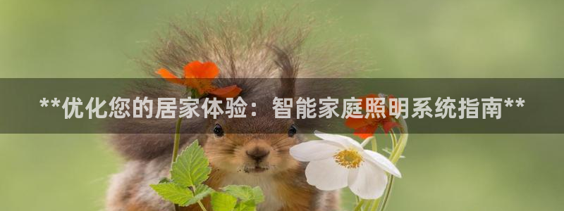 **优化您的居家体验：智能家庭照明系统指南**
